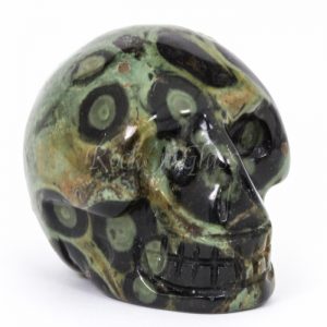 kambaba jasper skull carving healing crystals large right1 700x700