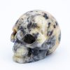 crazy lace agate skull carving healing crystals medium left1 700x700