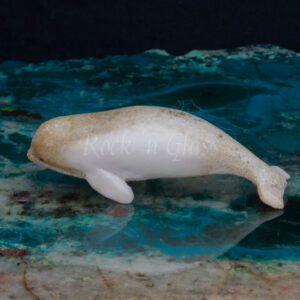beluga whale moose antler spirit animal totem carving healing crystal side 1000x1000